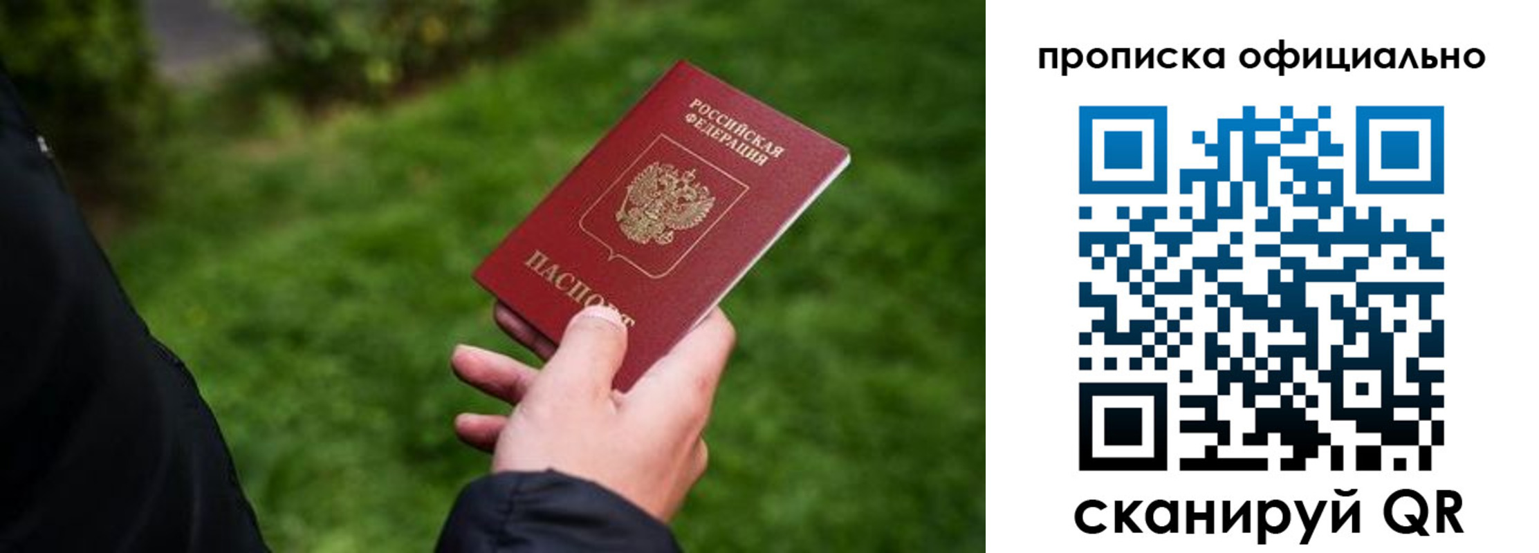 прописка для школы в Ярославле